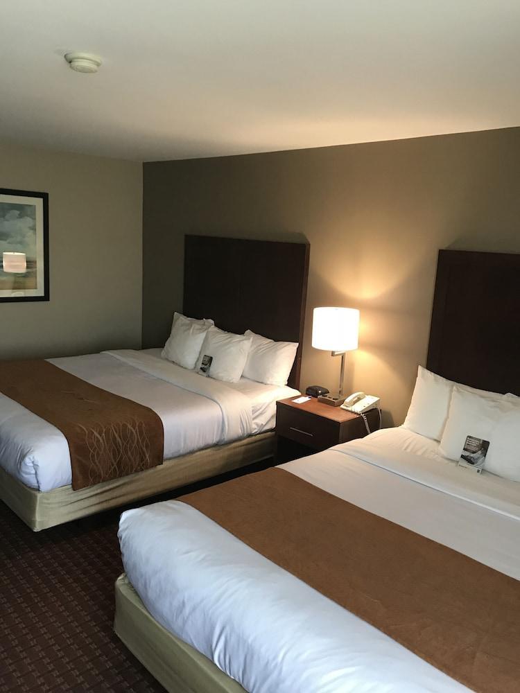 Comfort Inn Silicon Valley East Fremont Exteriör bild