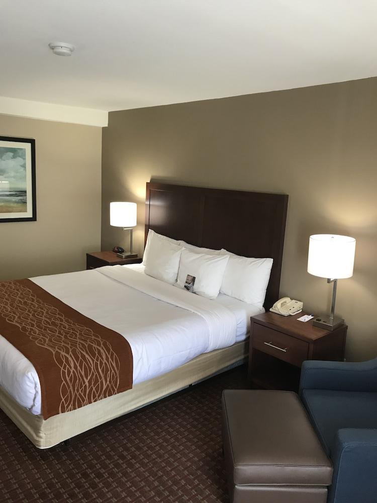 Comfort Inn Silicon Valley East Fremont Exteriör bild
