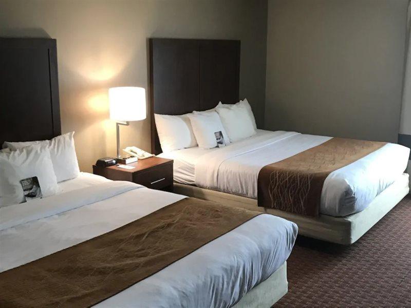 Comfort Inn Silicon Valley East Fremont Exteriör bild