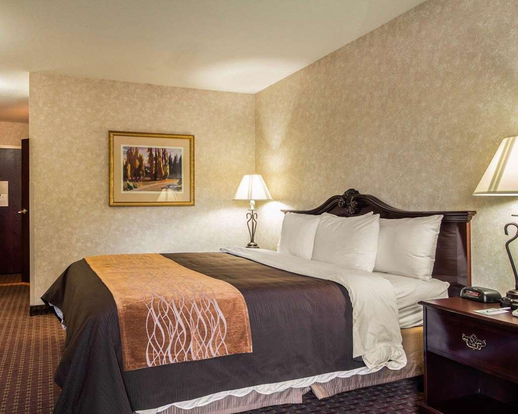 Comfort Inn Silicon Valley East Fremont Rum bild