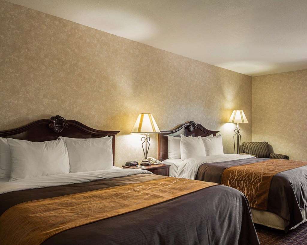 Comfort Inn Silicon Valley East Fremont Rum bild