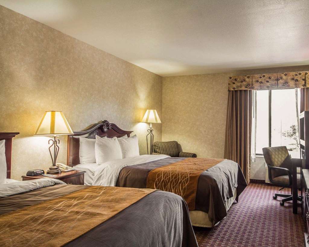 Comfort Inn Silicon Valley East Fremont Rum bild