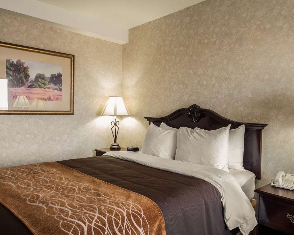 Comfort Inn Silicon Valley East Fremont Rum bild