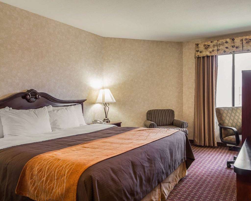 Comfort Inn Silicon Valley East Fremont Rum bild