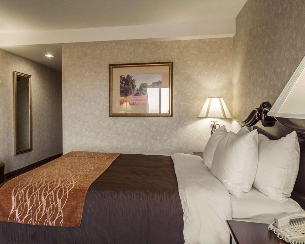 Comfort Inn Silicon Valley East Fremont Rum bild