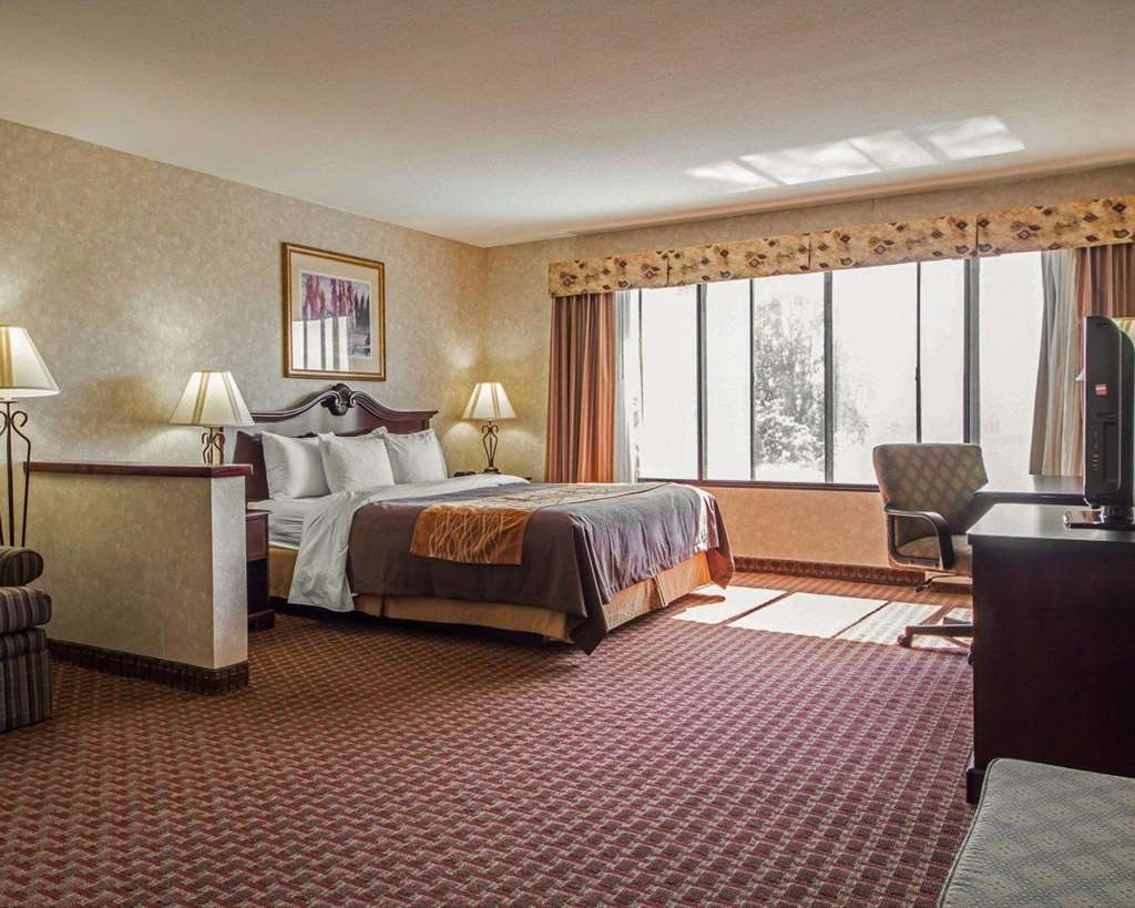 Comfort Inn Silicon Valley East Fremont Rum bild