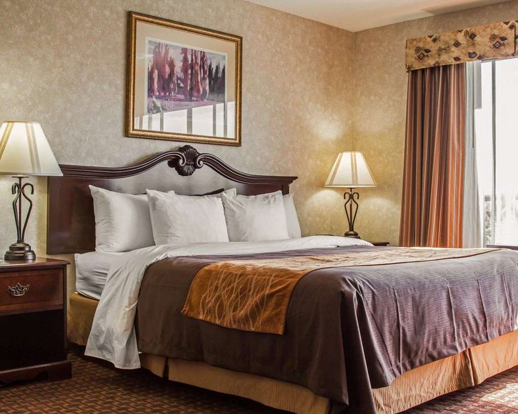 Comfort Inn Silicon Valley East Fremont Rum bild