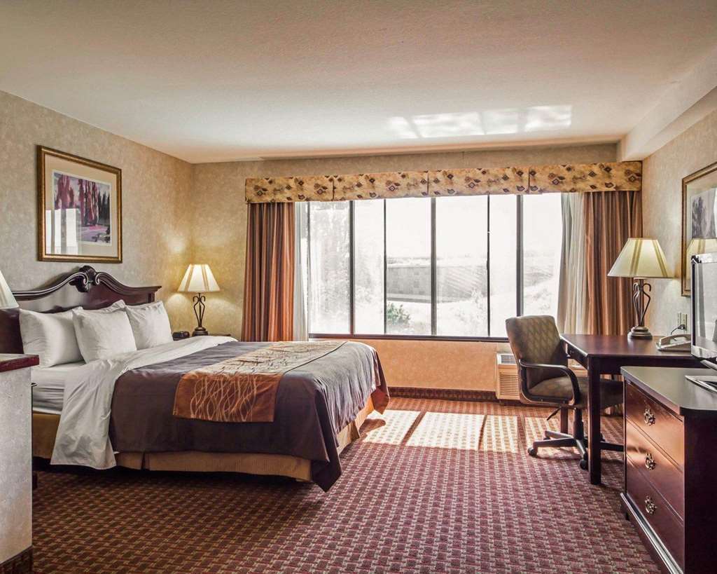 Comfort Inn Silicon Valley East Fremont Rum bild